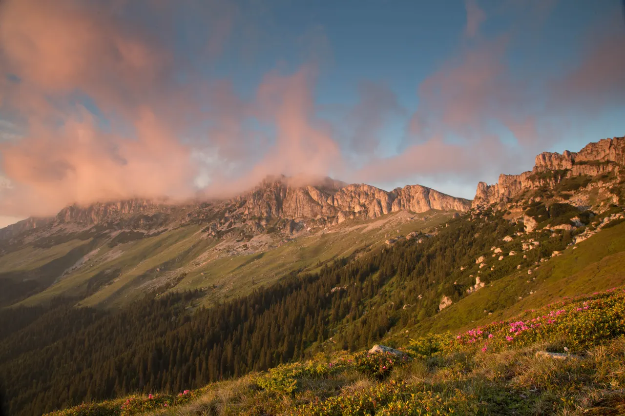 Carpathian trails